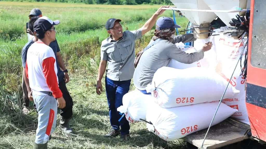 Pertanian Bulungan Quartal.id