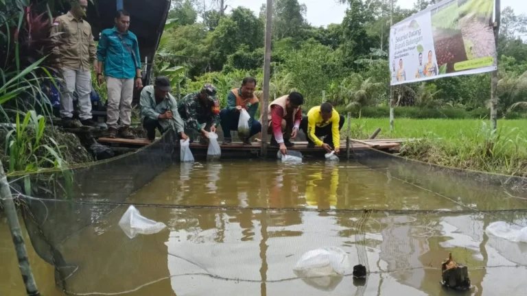 Pertanian dan Perikanan Bulungan Quartal.id