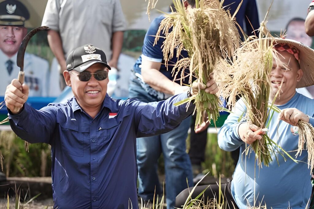 Potensi Padi Kabupaten Malinau Quartal.id