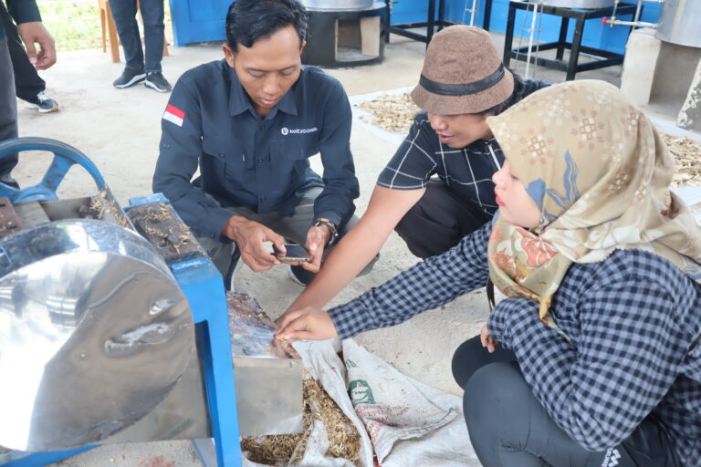 Pengolahan Gaharu Quartal.id