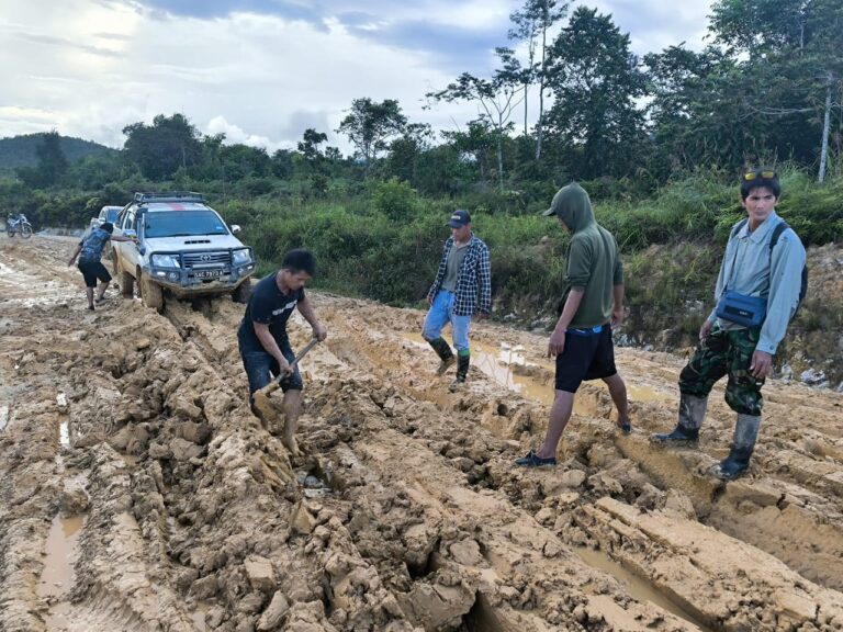 Jalan Lingkar Krayan Quartal.id